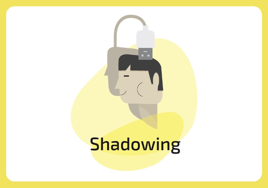 Programa Shadowing